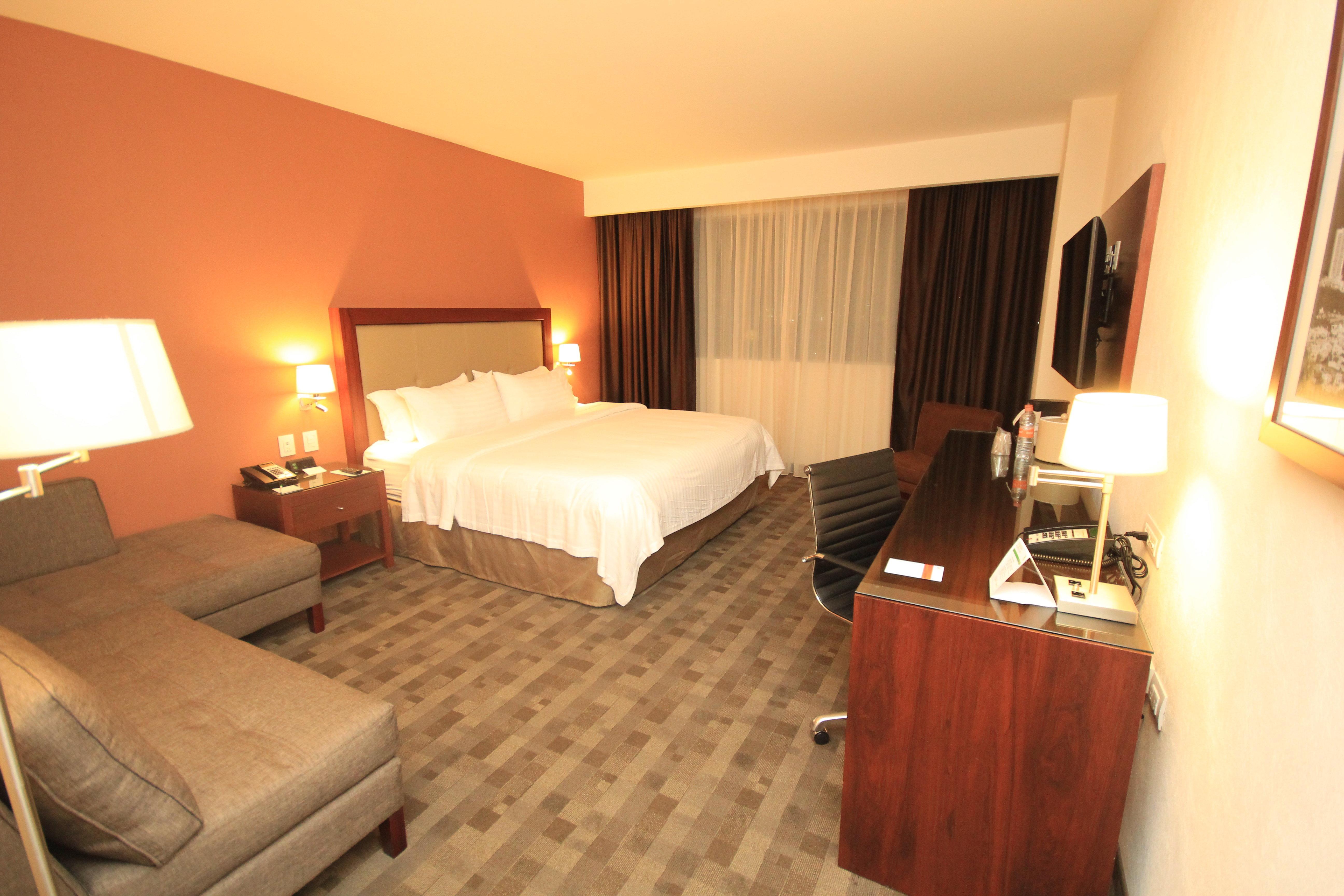 Holiday Inn & Suites Plaza Mayor By Ihg León Exteriér fotografie