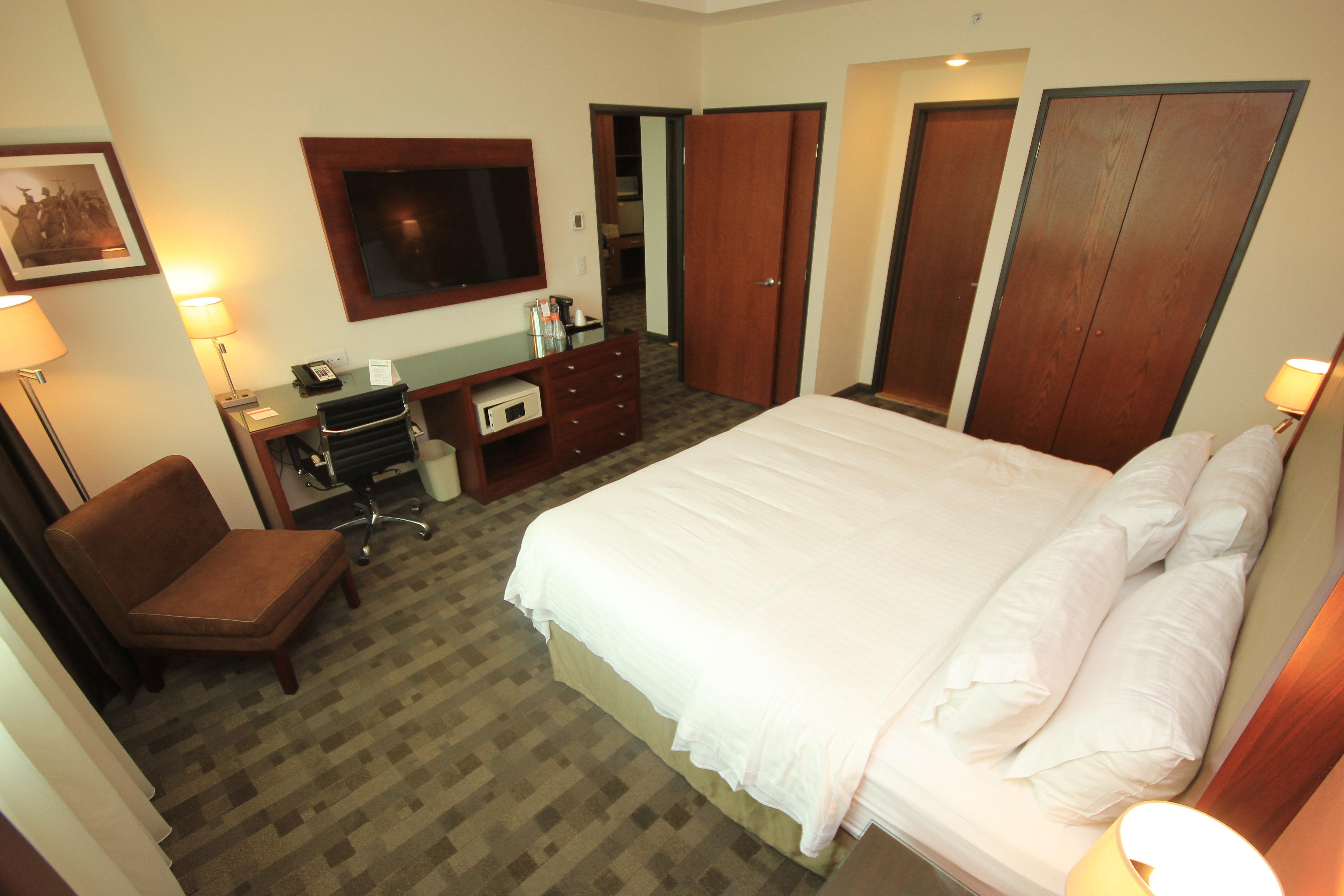 Holiday Inn & Suites Plaza Mayor By Ihg León Exteriér fotografie